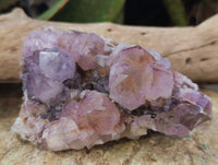 Natural Cactus Flower Smokey Amethyst Spirit Clusters x 3 From South Africa