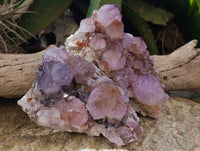 Natural Cactus Flower Smokey Amethyst Spirit Clusters x 3 From South Africa
