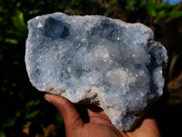 Natural Celestite Geode Specimens x 1 From Sakoany, Madagascar
