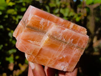 Natural Sunset Orange Calcite Specimens x 6 From Spitzkop, Namibia