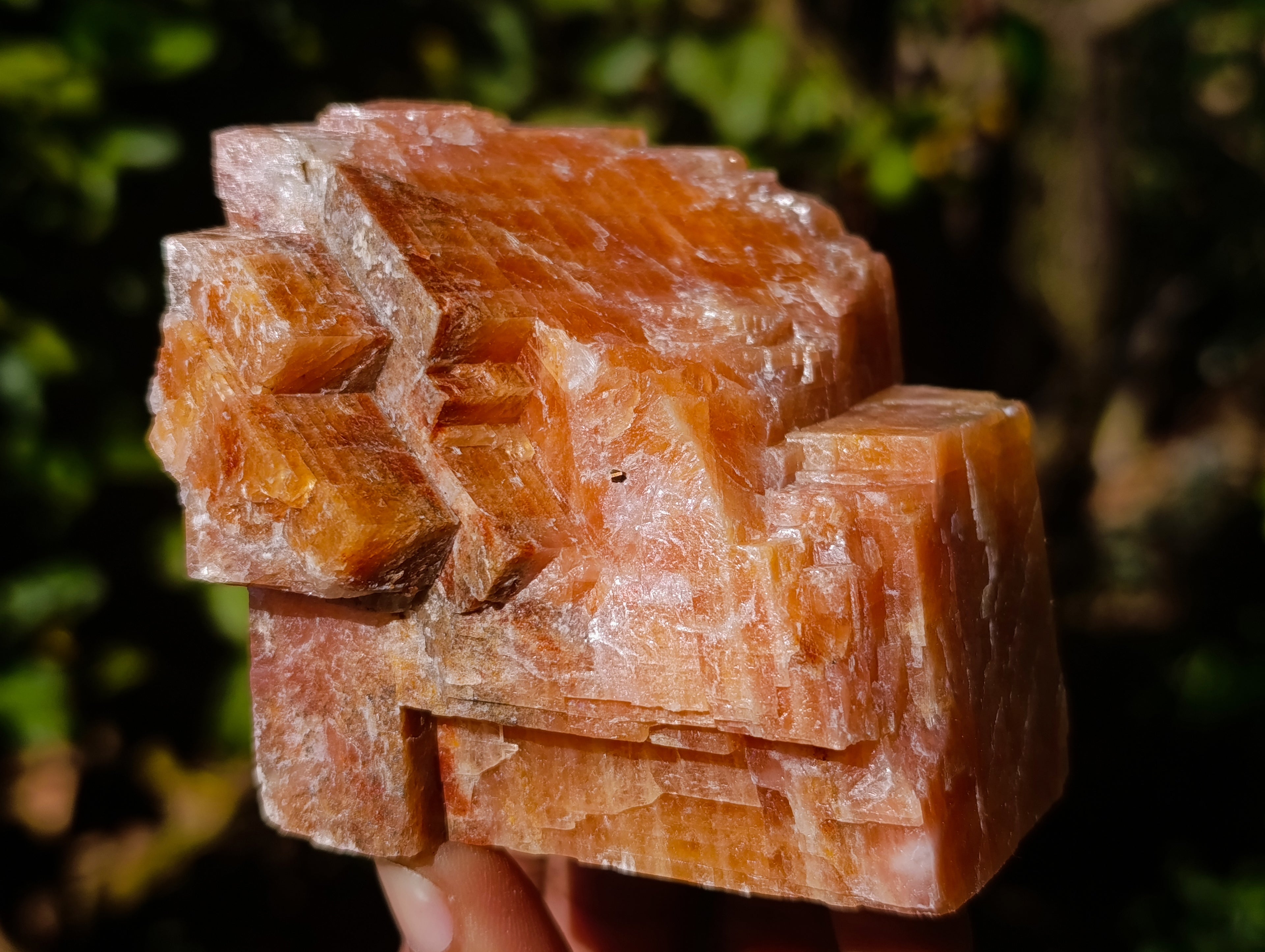 Natural Sunset Orange Calcite Specimens x 6 From Spitzkop, Namibia - Toprock Gemstones and Minerals 