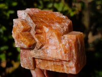 Natural Sunset Orange Calcite Specimens x 6 From Spitzkop, Namibia