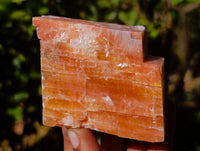 Natural Sunset Orange Calcite Specimens x 6 From Spitzkop, Namibia