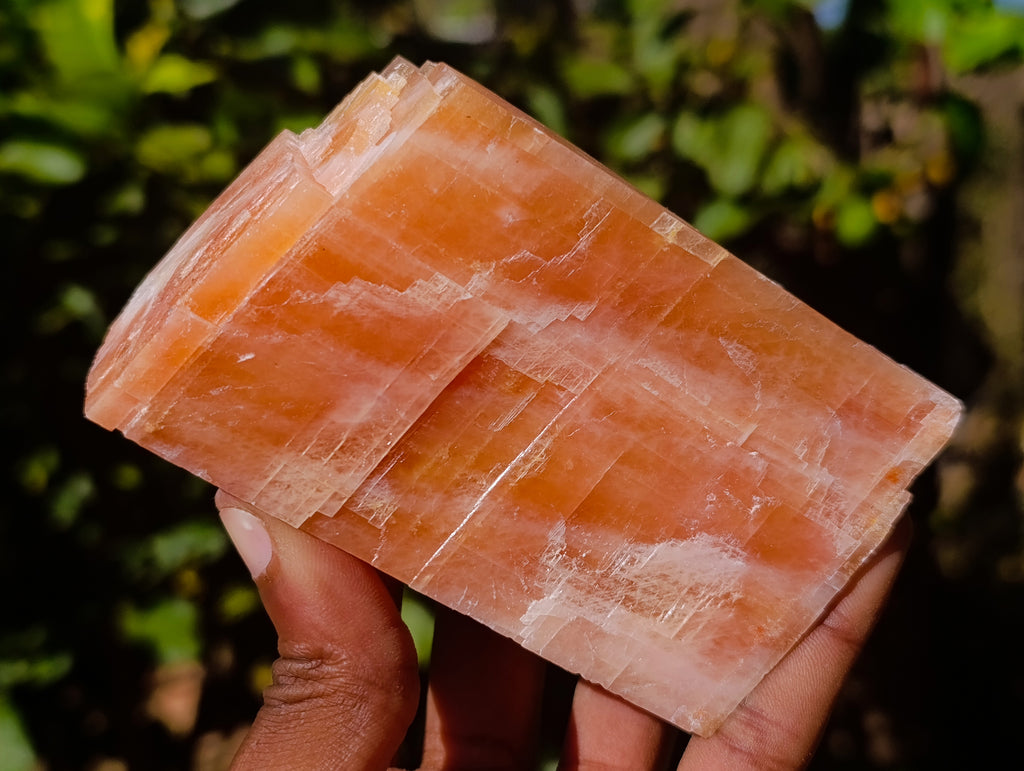 Natural Sunset Orange Calcite Specimens x 6 From Spitzkop, Namibia - Toprock Gemstones and Minerals 