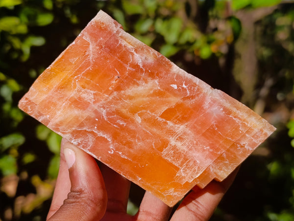 Natural Sunset Orange Calcite Specimens x 6 From Spitzkop, Namibia