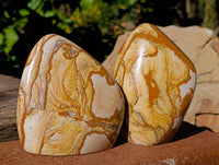 Polished Picture Stone Jasper Standing Free Forms x 2 From Ais-Ais, Namibia