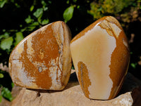 Polished Picture Stone Jasper Standing Free Forms x 2 From Ais-Ais, Namibia
