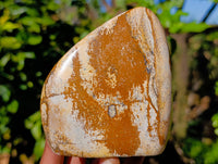 Polished Picture Stone Jasper Standing Free Forms x 2 From Ais-Ais, Namibia