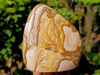 Polished Picture Stone Jasper Standing Free Forms x 2 From Ais-Ais, Namibia