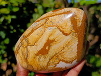 Polished Picture Stone Jasper Standing Free Forms x 2 From Ais-Ais, Namibia