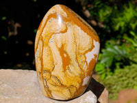 Polished Picture Stone Jasper Standing Free Forms x 2 From Ais-Ais, Namibia