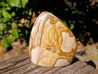 Polished Picture Stone Jasper Standing Free Forms x 2 From Ais-Ais, Namibia
