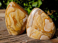 Polished Picture Stone Jasper Standing Free Forms x 2 From Ais-Ais, Namibia