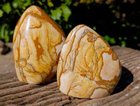 Polished Picture Stone Jasper Standing Free Forms x 2 From Ais-Ais, Namibia