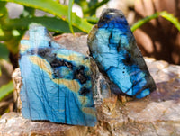Polished On One Side Labradorite Plates x 24 From Tulear, Madagascar - Toprock Gemstones and Minerals 