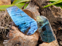 Polished On One Side Labradorite Plates x 24 From Tulear, Madagascar - Toprock Gemstones and Minerals 