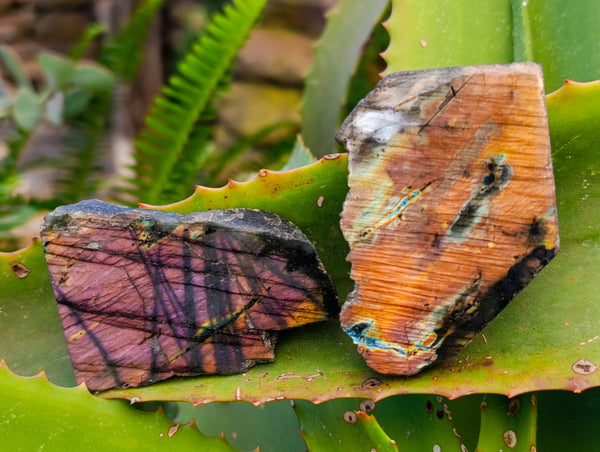 Polished On One Side Labradorite Plates x 24 From Tulear, Madagascar
