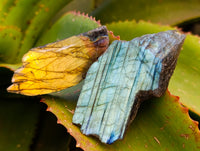 Polished On One Side Labradorite Plates x 24 From Tulear, Madagascar - Toprock Gemstones and Minerals 