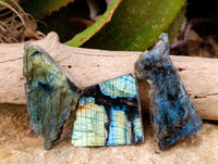 Polished On One Side Labradorite Plates x 24 From Tulear, Madagascar - Toprock Gemstones and Minerals 