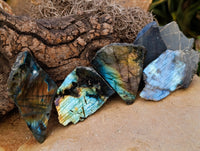 Polished On One Side Labradorite Plates x 24 From Tulear, Madagascar - Toprock Gemstones and Minerals 