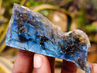 Polished On One Side Labradorite Plates x 24 From Tulear, Madagascar - Toprock Gemstones and Minerals 