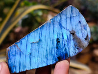 Polished On One Side Labradorite Plates x 24 From Tulear, Madagascar - Toprock Gemstones and Minerals 