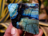 Polished On One Side Labradorite Plates x 24 From Tulear, Madagascar - Toprock Gemstones and Minerals 