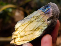 Polished On One Side Labradorite Plates x 24 From Tulear, Madagascar - Toprock Gemstones and Minerals 