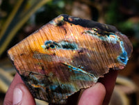 Polished On One Side Labradorite Plates x 24 From Tulear, Madagascar - Toprock Gemstones and Minerals 