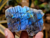 Polished On One Side Labradorite Plates x 24 From Tulear, Madagascar - Toprock Gemstones and Minerals 