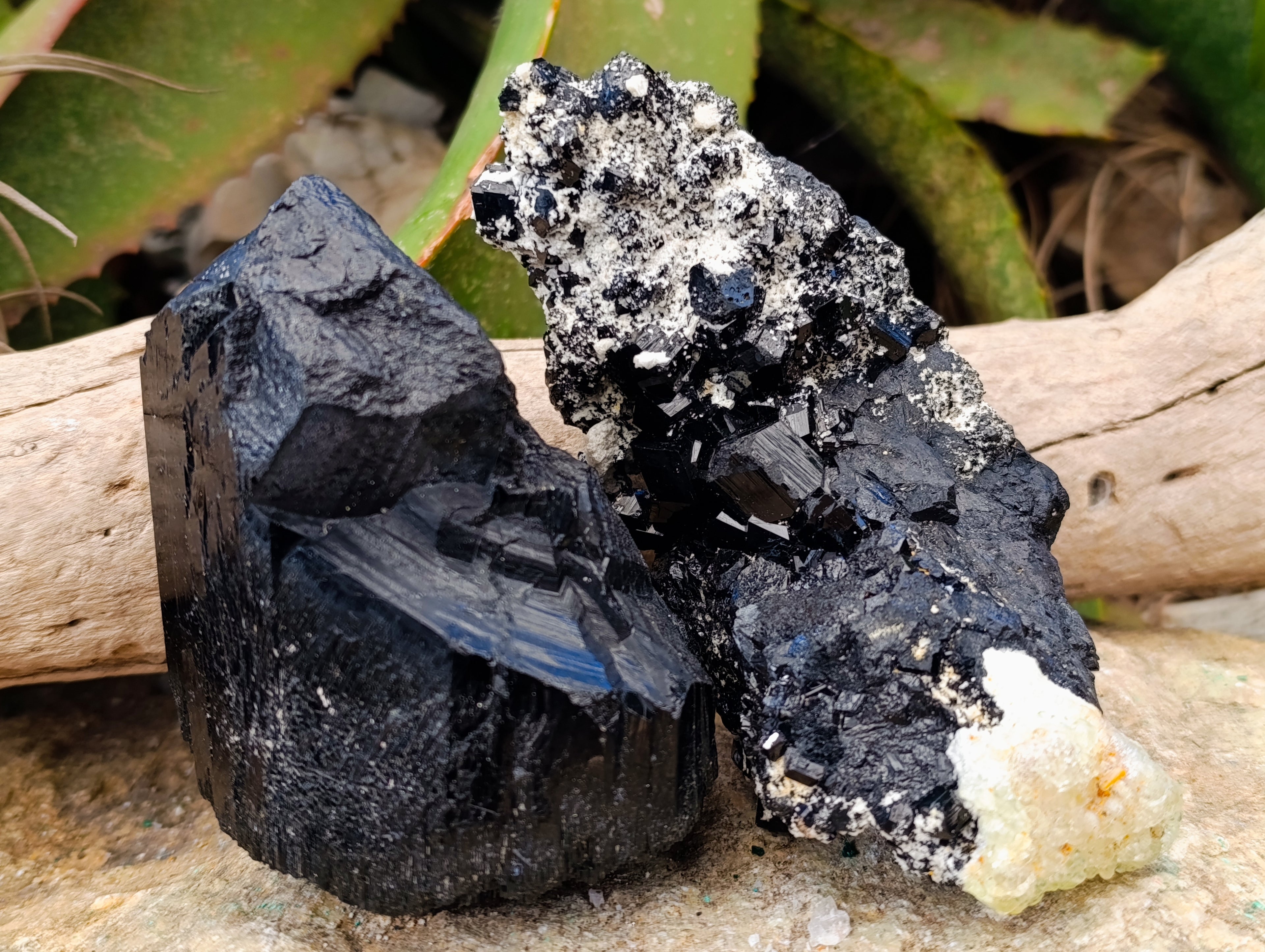 Natural Schorl Black Tourmaline Specimens x 2 From Erongo, Namibia - Toprock Gemstones and Minerals 