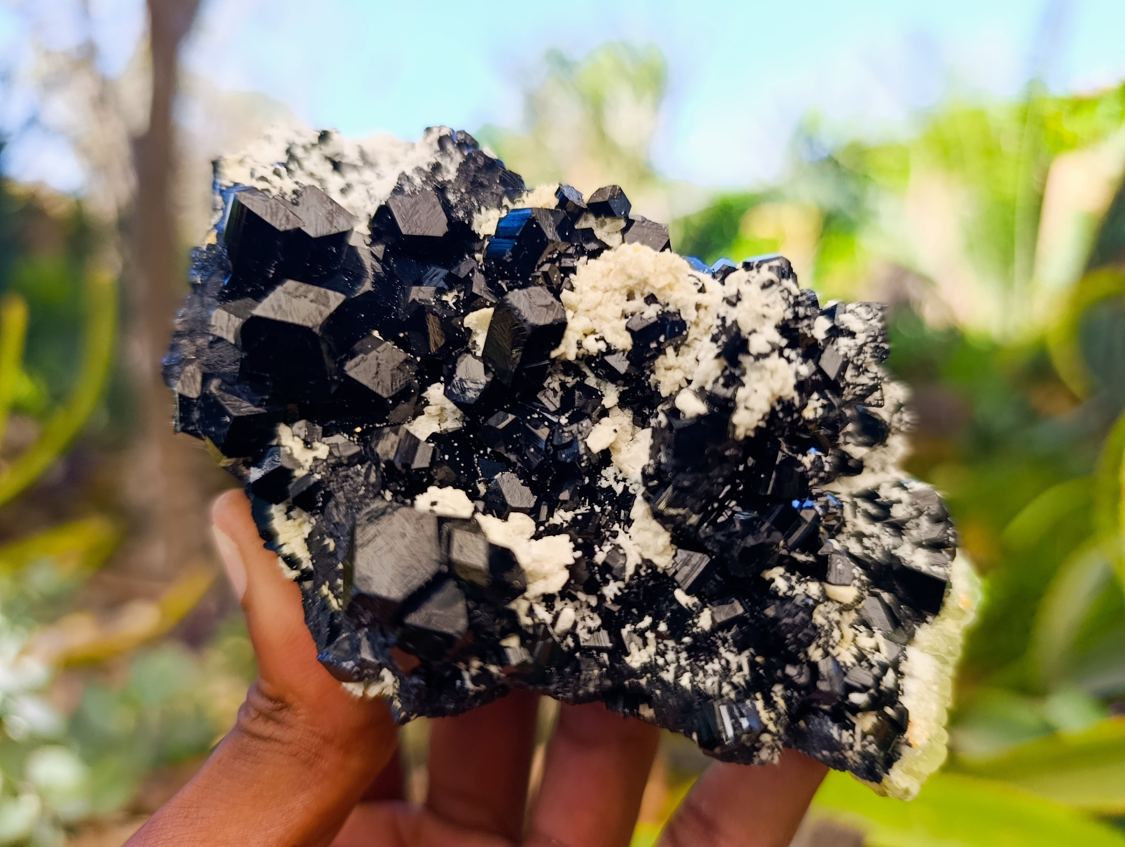Natural Schorl Black Tourmaline Specimens x 2 From Erongo, Namibia - Toprock Gemstones and Minerals 