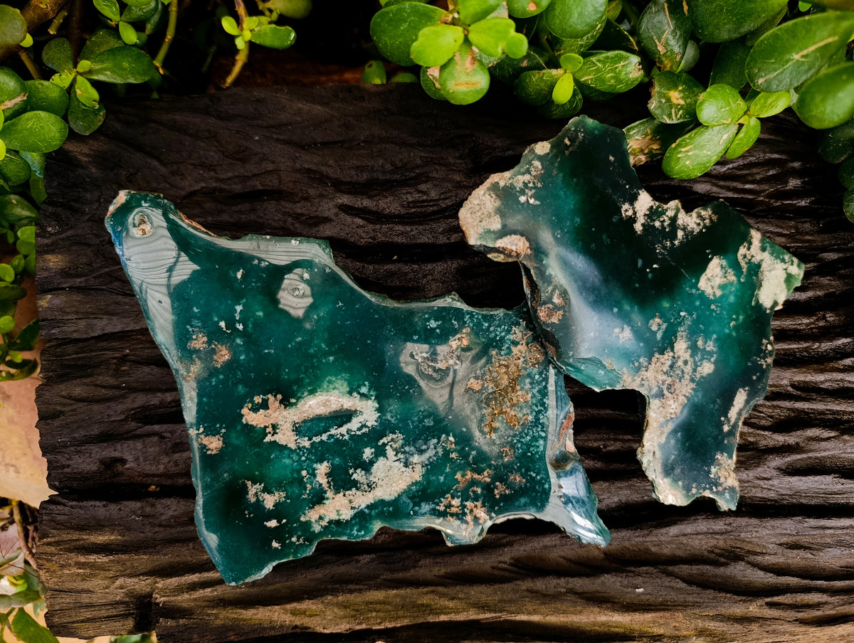 Polished On One Side Emerald Mtorolite Plates x 2 From Mutorashanga, Zimbabwe - Toprock Gemstones and Minerals 