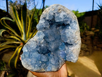 Natural Celestite Geode Specimens x 1 From Sakoany, Madagascar