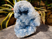 Natural Celestite Geode Specimens x 1 From Sakoany, Madagascar
