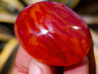 Polished Carnelian Palm Stones x 35 From Madagascar - Toprock Gemstones and Minerals 