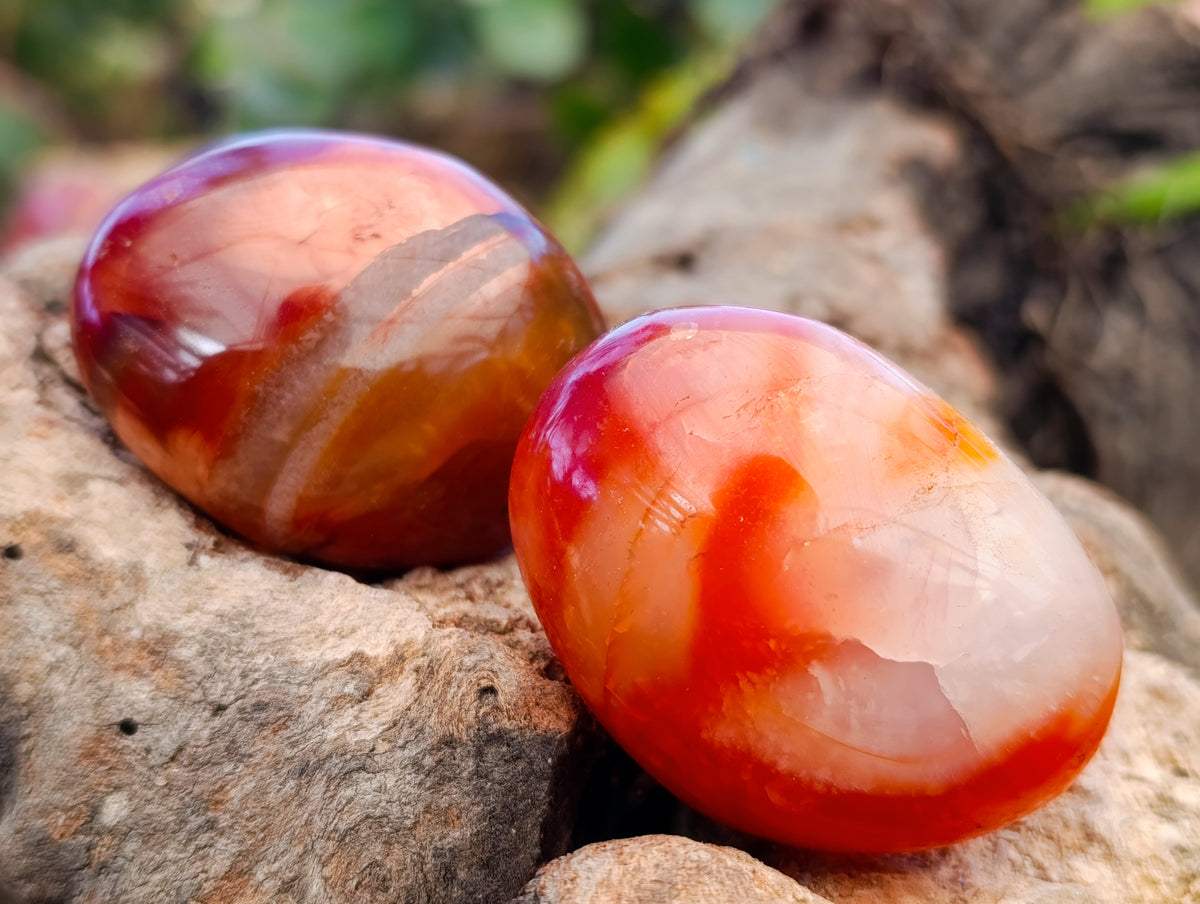 Polished Carnelian Palm Stones x 35 From Madagascar - Toprock Gemstones and Minerals 