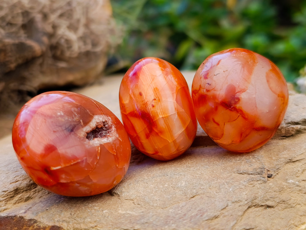 Polished Carnelian Palm Stones x 35 From Madagascar - Toprock Gemstones and Minerals 
