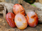 Polished Carnelian Palm Stones x 35 From Madagascar - Toprock Gemstones and Minerals 