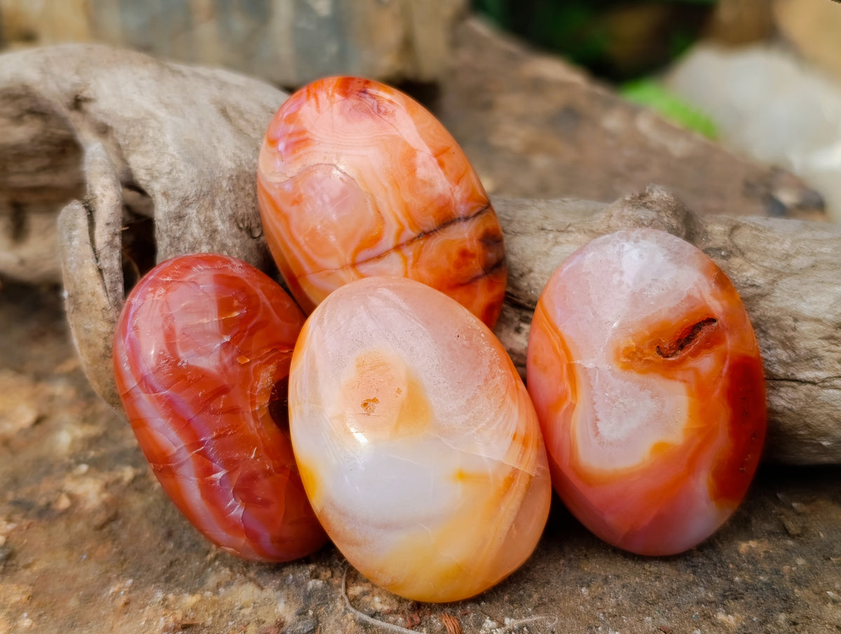 Polished Carnelian Palm Stones x 35 From Madagascar - Toprock Gemstones and Minerals 