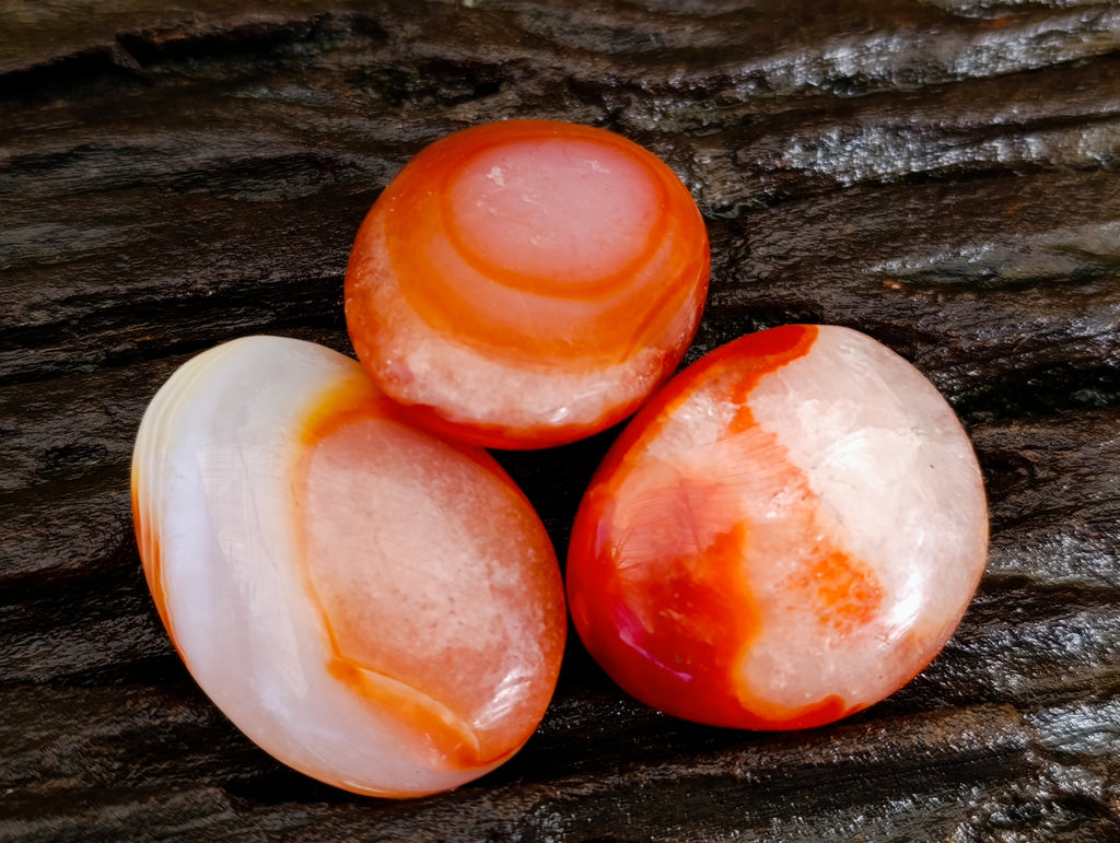 Polished Carnelian Palm Stones x 35 From Madagascar - Toprock Gemstones and Minerals 