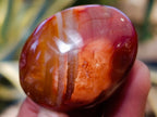 Polished Carnelian Palm Stones x 35 From Madagascar - Toprock Gemstones and Minerals 