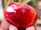 Polished Carnelian Palm Stones x 35 From Madagascar - Toprock Gemstones and Minerals 