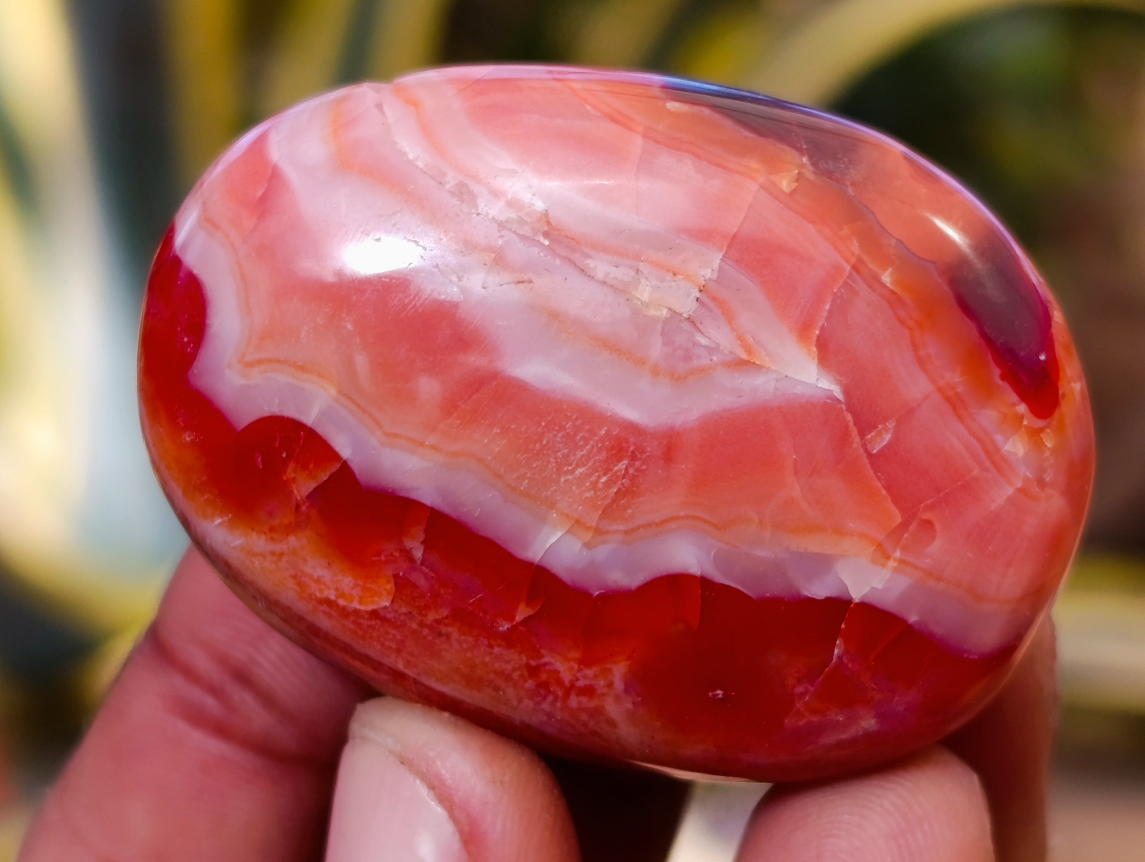 Polished Carnelian Palm Stones x 35 From Madagascar - Toprock Gemstones and Minerals 