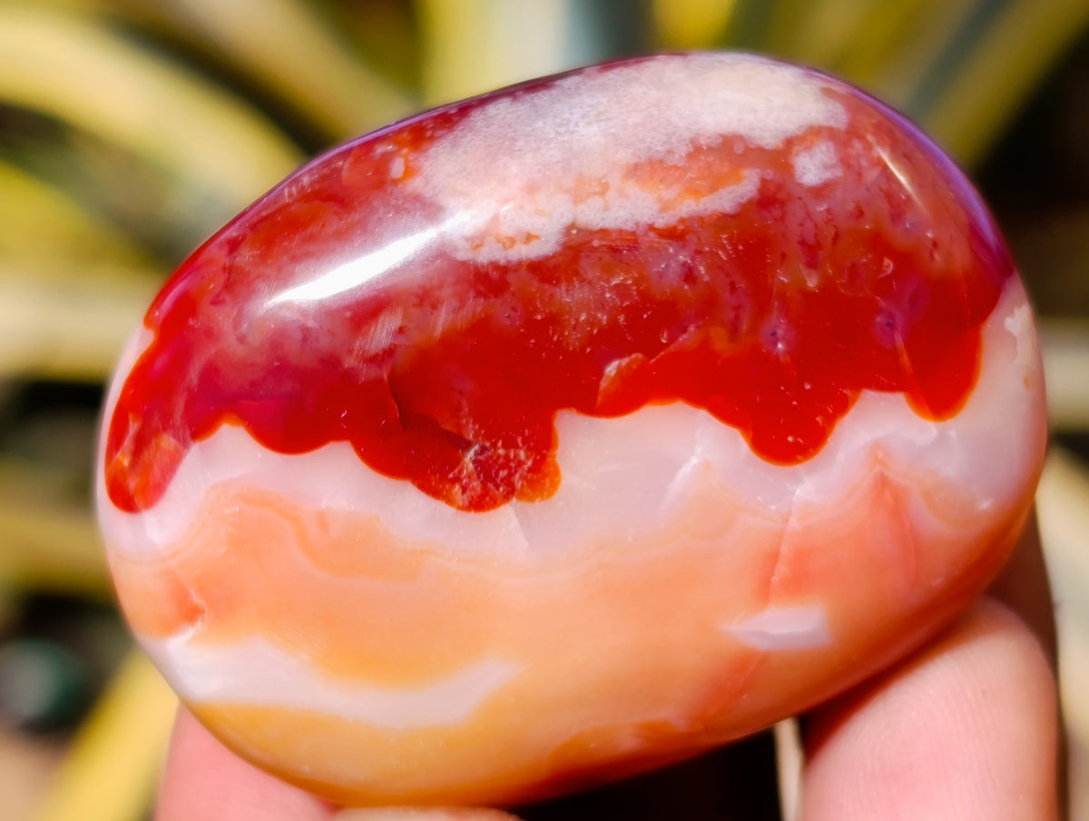 Polished Carnelian Palm Stones x 35 From Madagascar - Toprock Gemstones and Minerals 