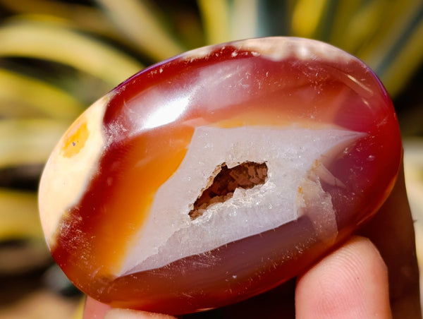 Polished Carnelian Palm Stones x 35 From Madagascar