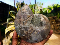 Polished Cleoniceras Ammonite Fossils Pair x 1 Pair From Maintirano, Madagascar