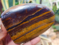 Polished Banded Tiger Iron with Tigers Eye Standing Free Forms x 2 From South Africa
