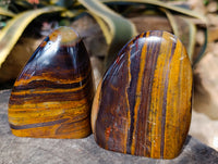 Polished Banded Tiger Iron with Tigers Eye Standing Free Forms x 2 From South Africa