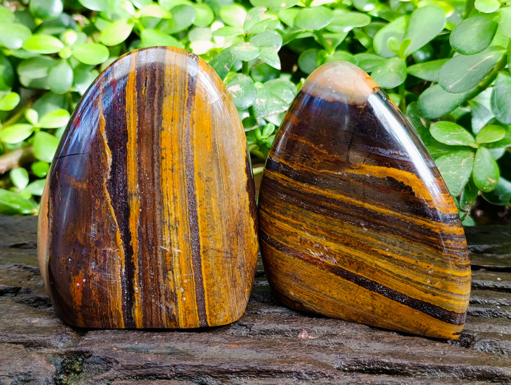 Polished Banded Tiger Iron with Tigers Eye Standing Free Forms x 2 From South Africa - Toprock Gemstones and Minerals 